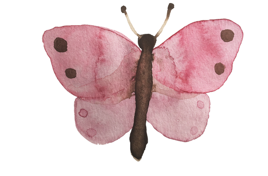 Illustration of a Pink Butterfly Painting